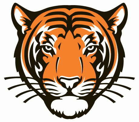 Princeton Tigers 2003-Pres Alternate Logo t shirts iron on transfers